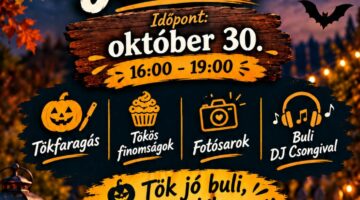 TÖK JÓ NAP!